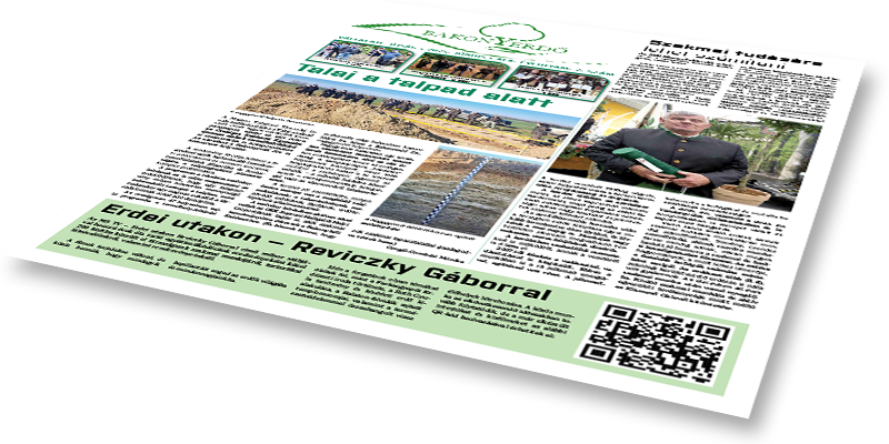 Bakonyerdő Zrt. - Vállalati újság 2025 június