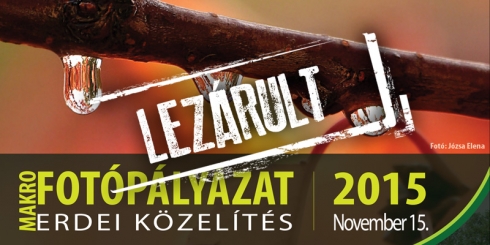 FOTÓPÁLYÁZAT FELTÖLTÉS - Erdei közelítés (Lezárult)