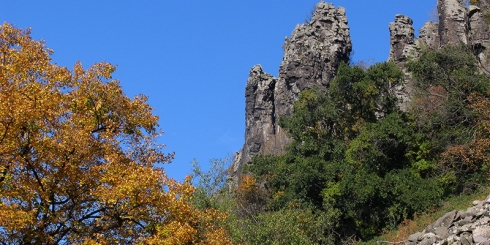 Őszi élmények erdeinkben