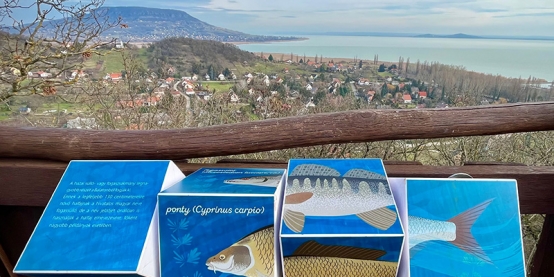 Balatonské vyhlídky se renovují