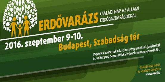 Erdővarázs Budapesten!
