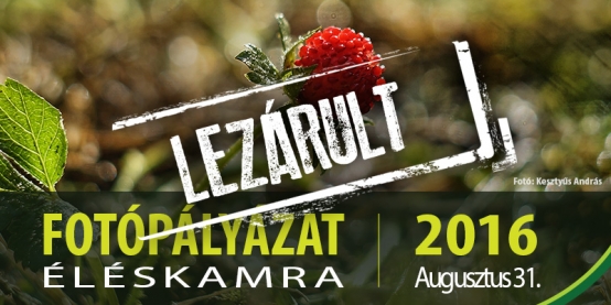 FOTÓPÁLYÁZAT FELTÖLTÉS - Éléskamra (Lezárult)