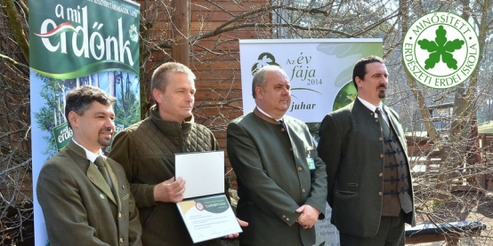 Minősítő okleveleket vehettünk át