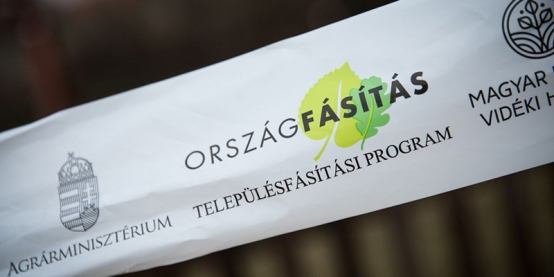 Településfásítási Program tavasszal