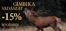 Gímbika vadászat a balatonfüredi vadászterületen